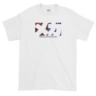 ts007ii