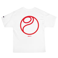 ts001