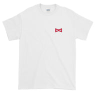ts011