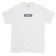 ts003