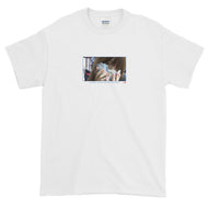 ts010